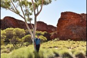 At Kings Canyon, Northern Territory