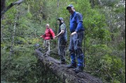 At the Great Western Tiers, Tasmania