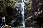 At Carrington Falls, Southern Highlands 