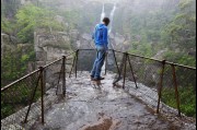 At Carrington Falls, Southern Highlands 