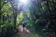 Hiking up Mount Dromadary (Gulaga), New South Wales