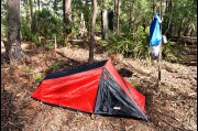 Camping in the Deua National Park