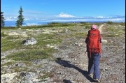 Hiking through the Denali State Park