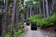 Heading along the Takshanuk Mountain Trail, Haines, Alaska