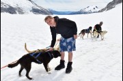 With the Huskey Sled Dogs on the Mendenhall Glacier