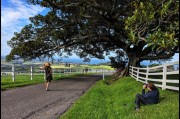 A Commerical Shoot at Kiama, NSW