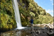 Dawson Falls, North Island - New Zealand