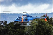 Aerial Patrol at Shellharbour