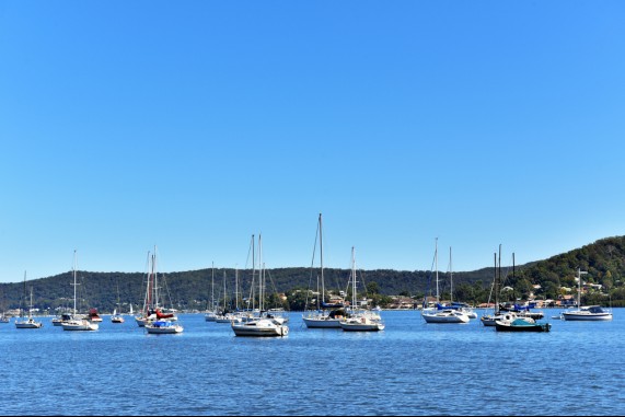 Boats of Gosford