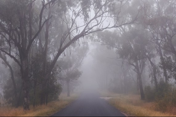 The Fog of Inverell 