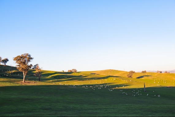 Jugiong Hills