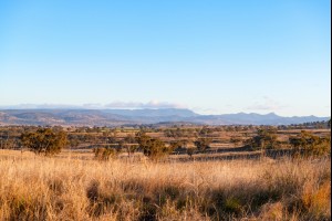 Merriwa Countryside