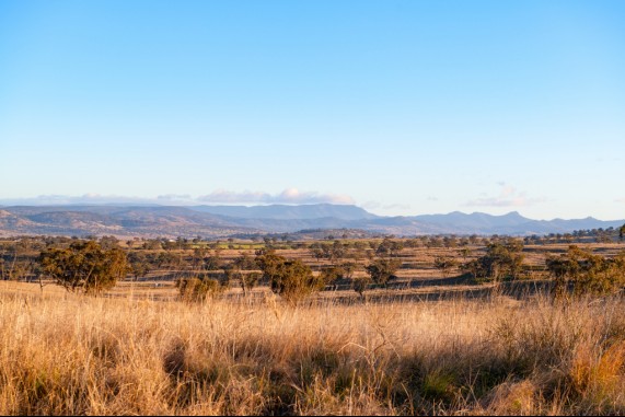 Merriwa Countryside