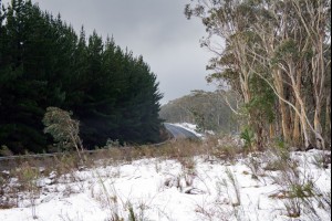 Beautiful Snow