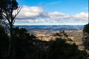 The Hampton View
