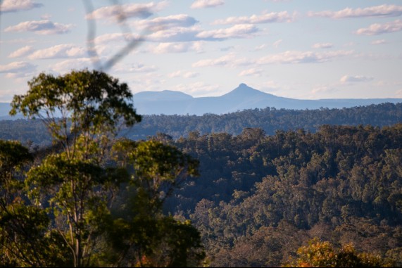 Mountain Views