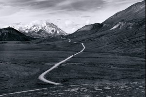 The Road to Denali
