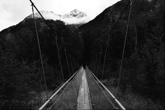 Alpine Bridges