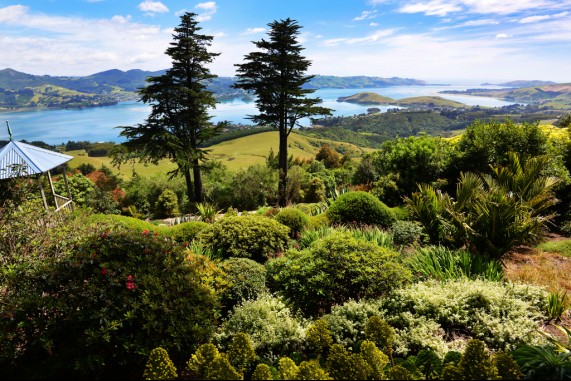 Views of Otago