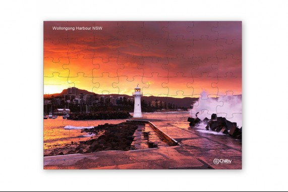 80 Piece Wollongong Harbour Jigsaw Puzzle