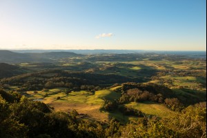 Southern Illawarra