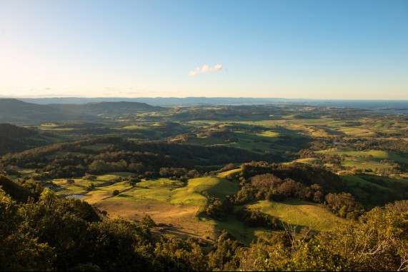 Southern Illawarra