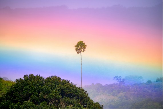 Jamberoo Magic