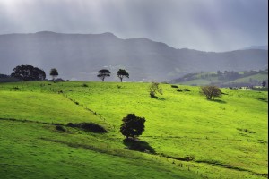 Jamberoo Hills 