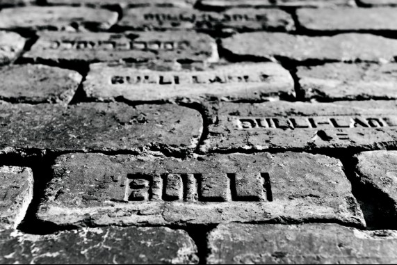 The Bulli Brick