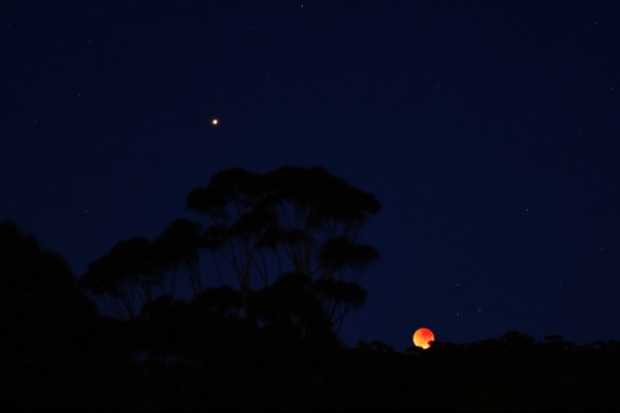 The Moon and Mars 