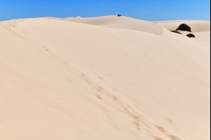 Giant Dunes
