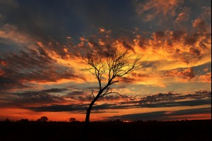 Outback Dusk