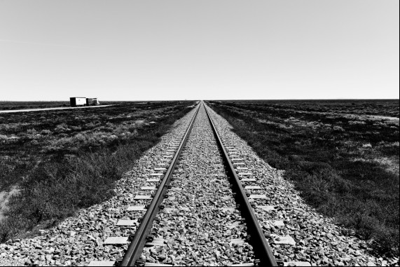 Desert Tracks 