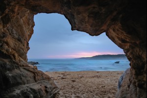 The Bear Cave