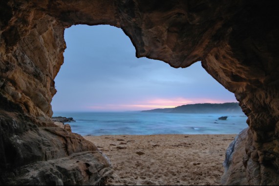 The Bear Cave