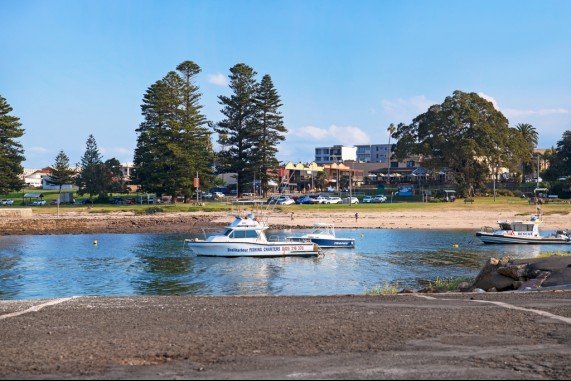 The Shellharbour