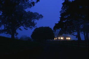 House of the Fog