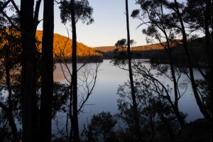 Glimpses at Avon