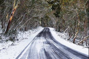 The Aussie Snow 
