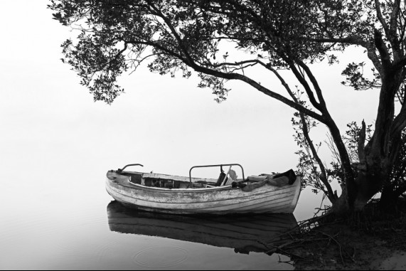 The Old Wood Boat