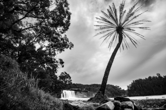 Waterfall Paradise