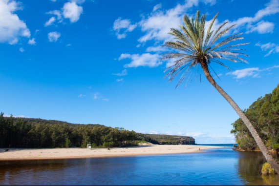 One Palm Cove