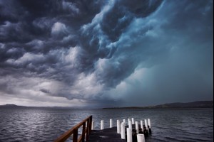 Wildest Storm