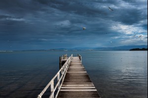 Lake Illawarra