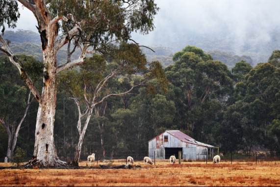 Country in the Valley