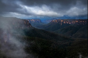 Fog and Cold Rain