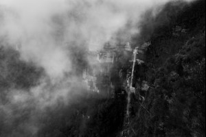 Fog Shrouded