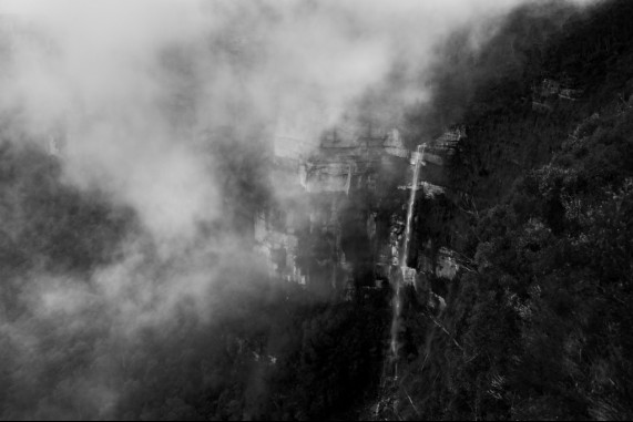 Fog Shrouded