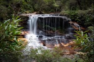 Weeping Rock