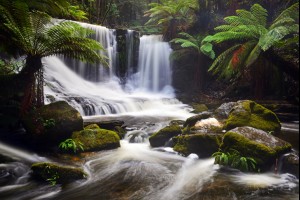 Horseshoe Falls 